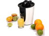 Inventum GC100W Citruspers