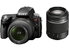 Sony SLT A35 Spiegelreflexcamera met 18 55 en 55 200 Lens