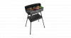 Fritel BBQ 2246 Elektrische Barbecue en tafelgrill