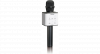 Lenco BMC-080GY - karaoke microfoon met Bluetooth en ingebouwde speakers