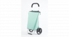 Rixx - Shopping Trolley - Ijsgroen - 38 L