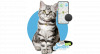 Spotter® Huisdier GPS Tracker Kat - Zonder Abonnement - Activity Tracker - Waterdicht - katten GPS - Nederlands merk