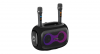 N-GEAR NRG600 - Bluetooth Speaker - Partybox met Verlichting + 2 Microfoons - IPX5 Waterdicht - Zwart afbeelding