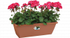 Elho Barcelona Balkonbak 70 - Plantenbak voor Balkon Buiten - Ã 69.8 x H 16.0 cm - Terra